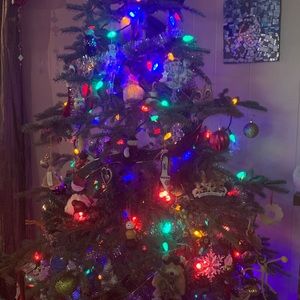 Meet your Posher, Connie